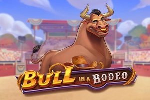 16369 bull in a rodeo